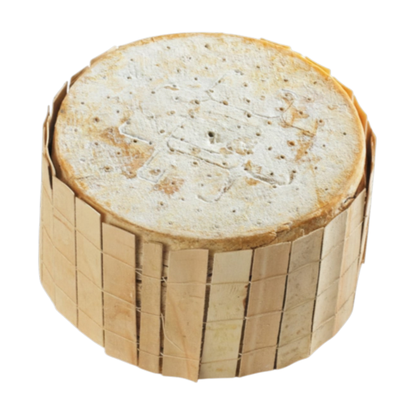 Whole Wheel