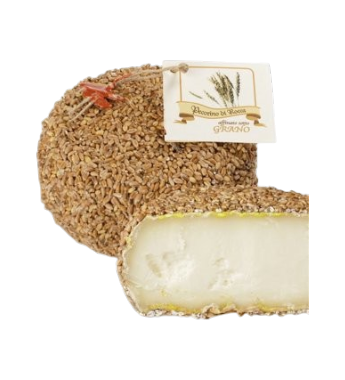 Pecorino sotto Grano