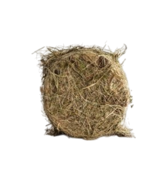 Capra al Fieno