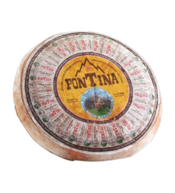 Fontina