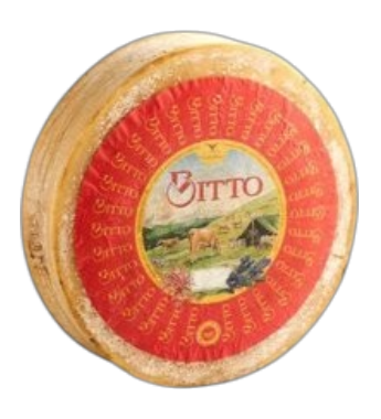 Bitto
