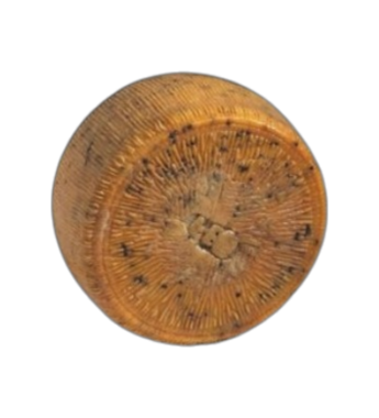Pecorino Siciliano Pepato